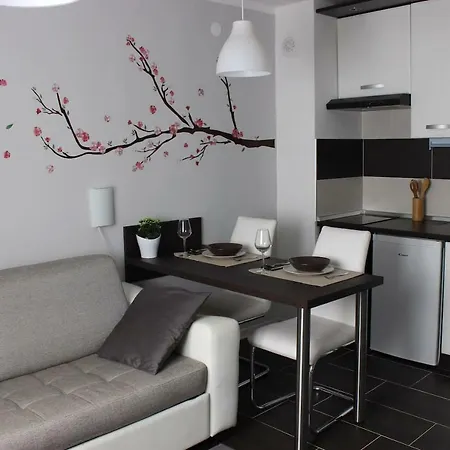 Studio Mini Apartment Rovinj